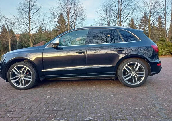 Audi SQ5 cena 89900 przebieg: 190000, rok produkcji 2013 z Pasym małe 352